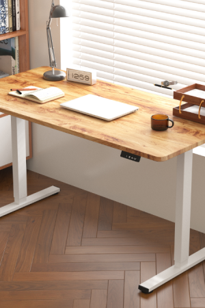 Range Office Tables Preset Electric Heighoriginalable Standing Desk MS-09